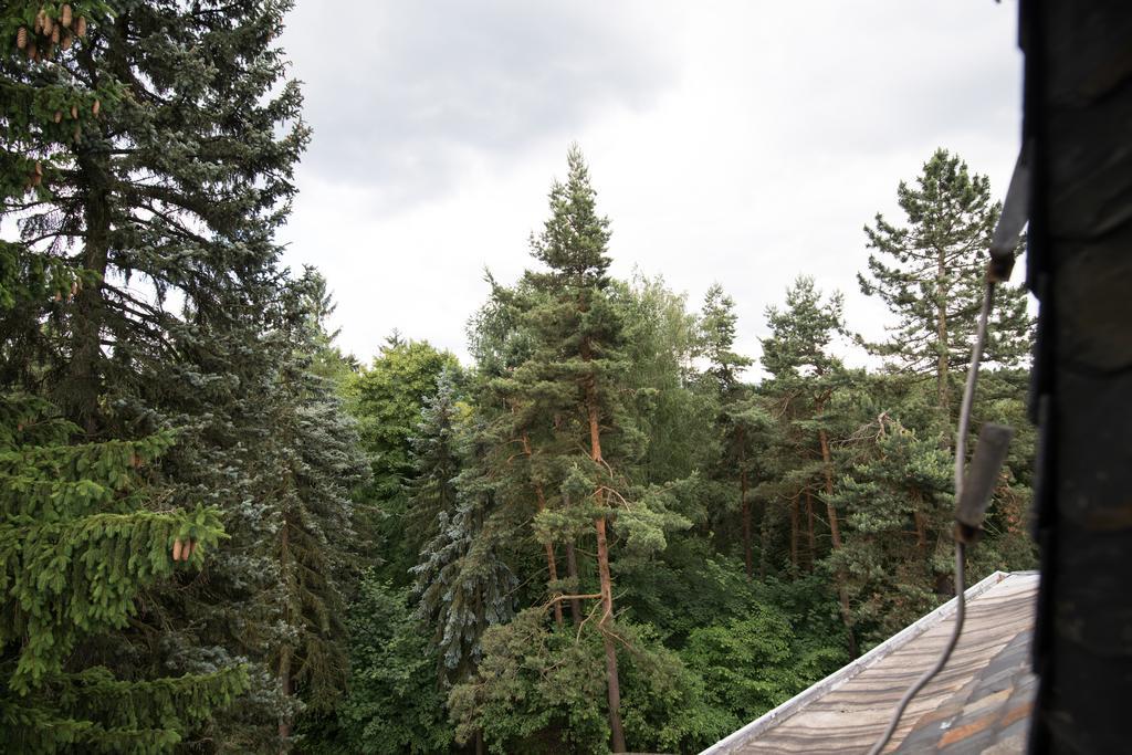 Villa Augustusberg Petrovice  Екстер'єр фото