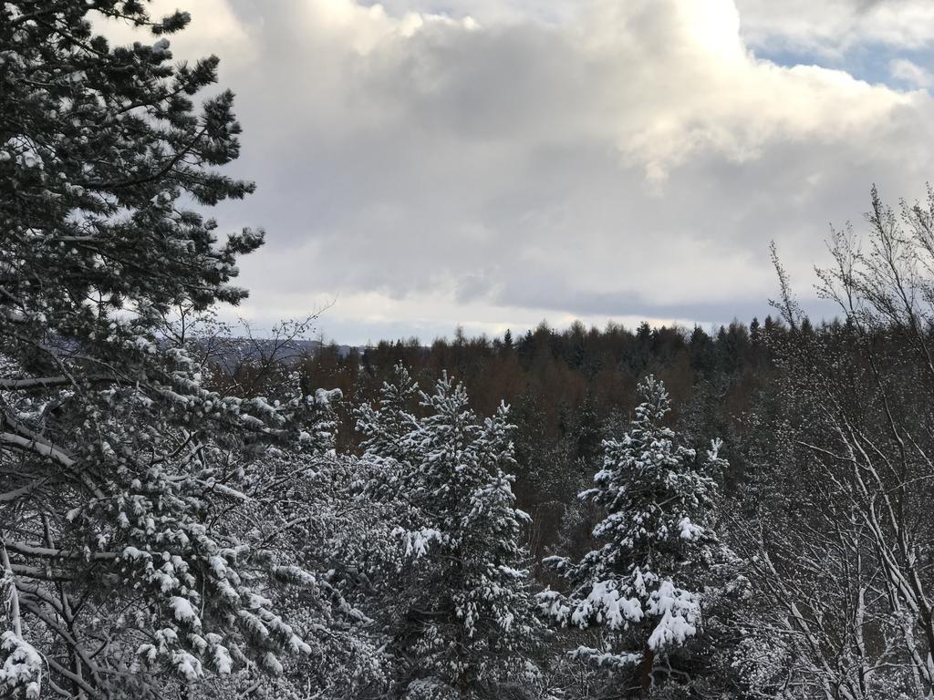 Villa Augustusberg Petrovice  Екстер'єр фото