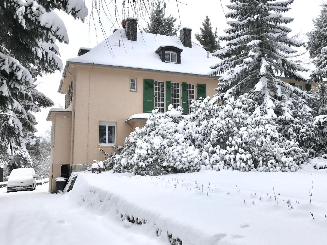 Villa Augustusberg Petrovice  Екстер'єр фото